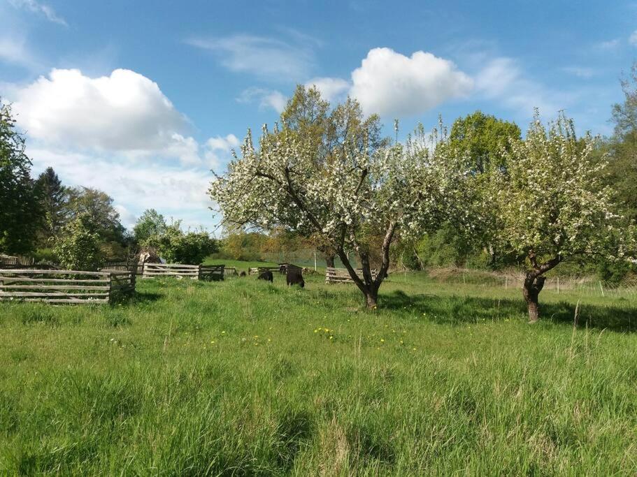 Babelin Moderne Wohnung Im Herzen Der Natur - Ingo'S Dream מראה חיצוני תמונה